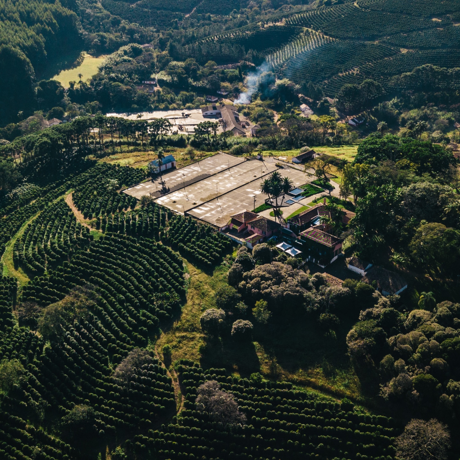Coffeeness Espresso Blend Farm Brazil