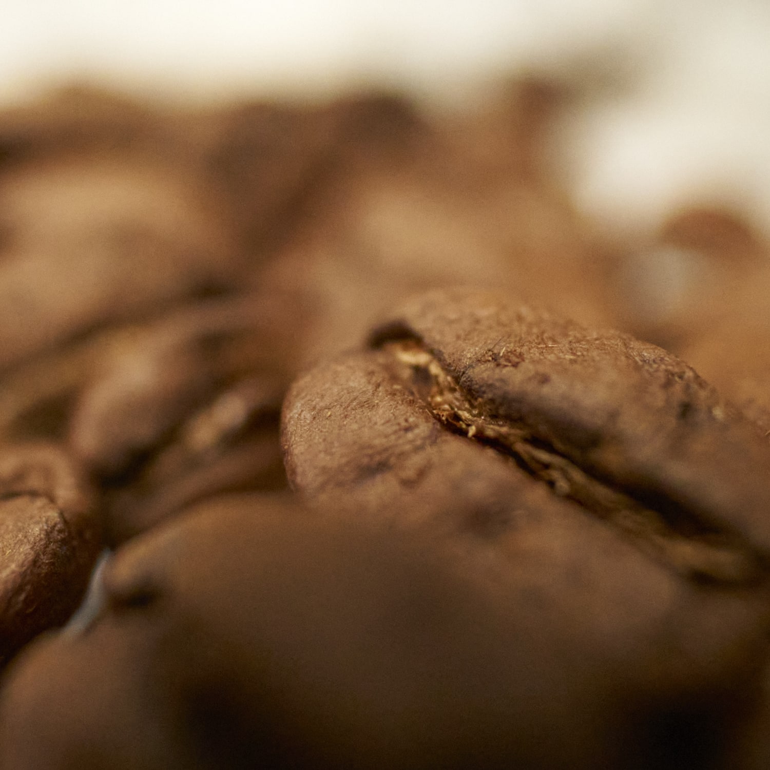 Coffeeness Espresso Roast, 2 lb - Image 4